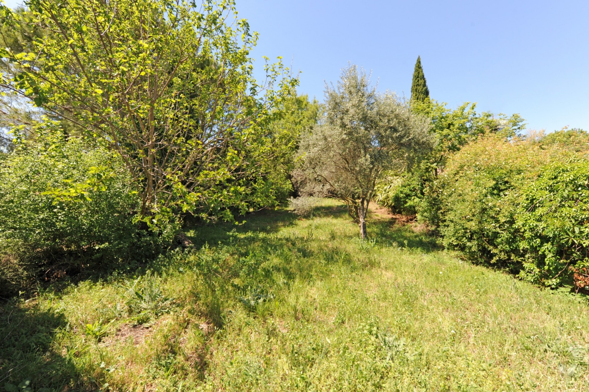 Gordes : charmante maison de hameau 18ème avec jardin   