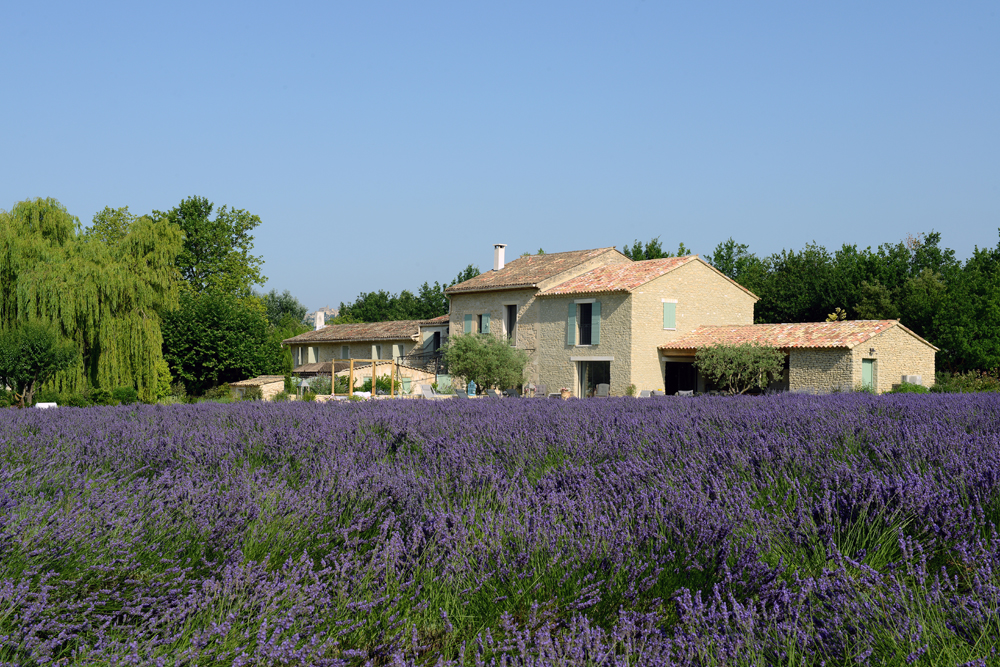 Mas - Lavande | Farmhouse with lavender