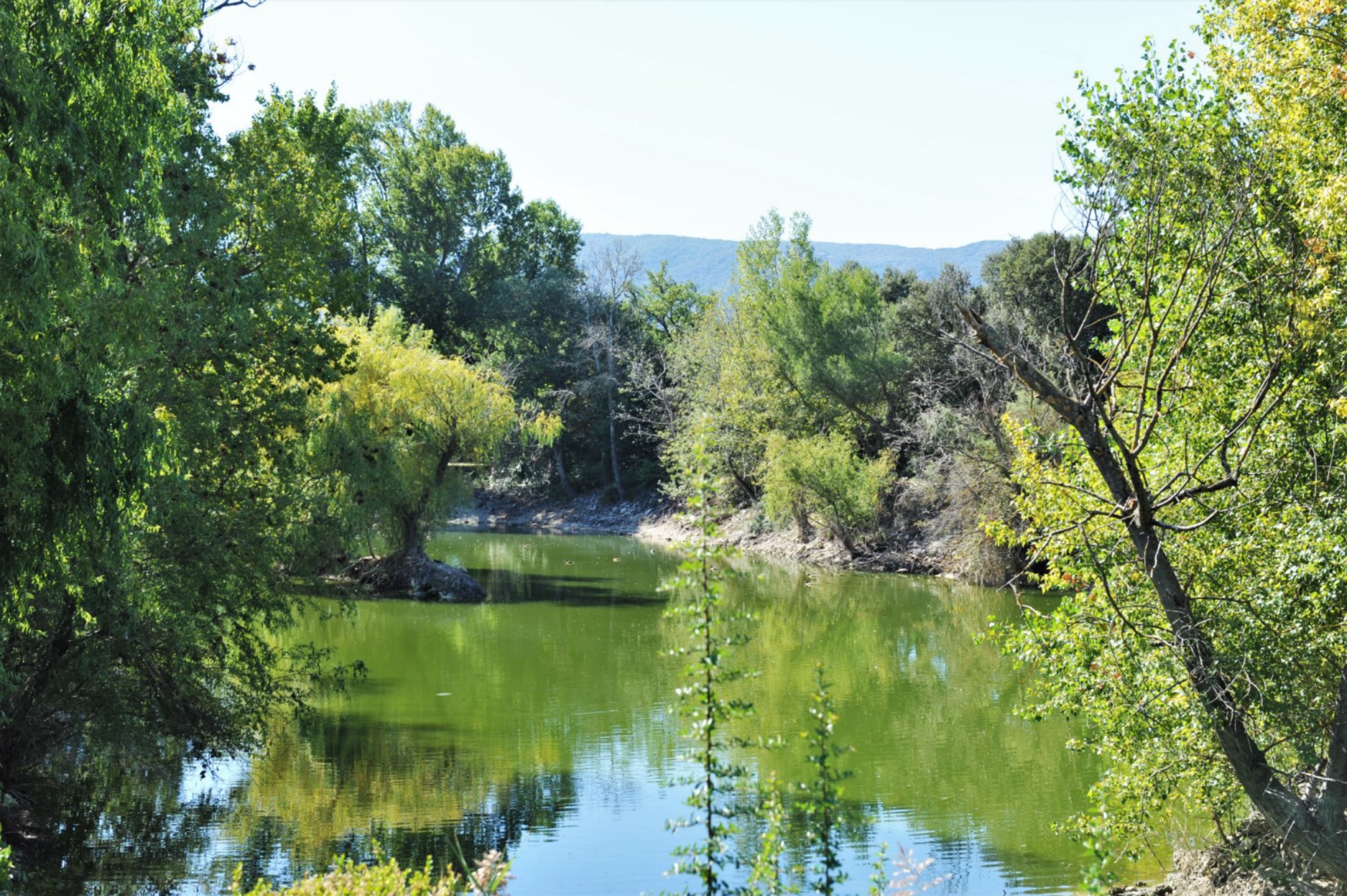 Luberon, villa  avec dépendance sur terrain de 1,4 hectare avec étang   