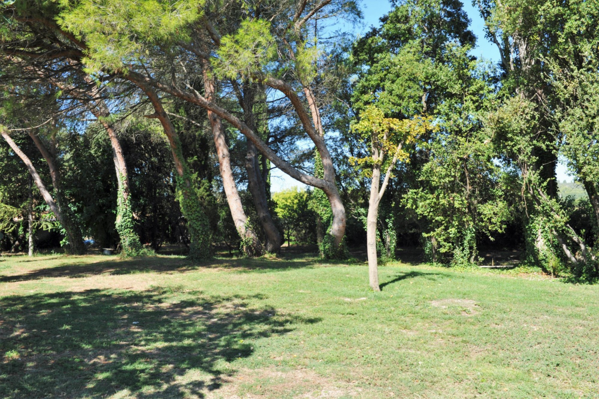 Luberon, villa  avec dépendance sur terrain de 1,4 hectare avec étang   
