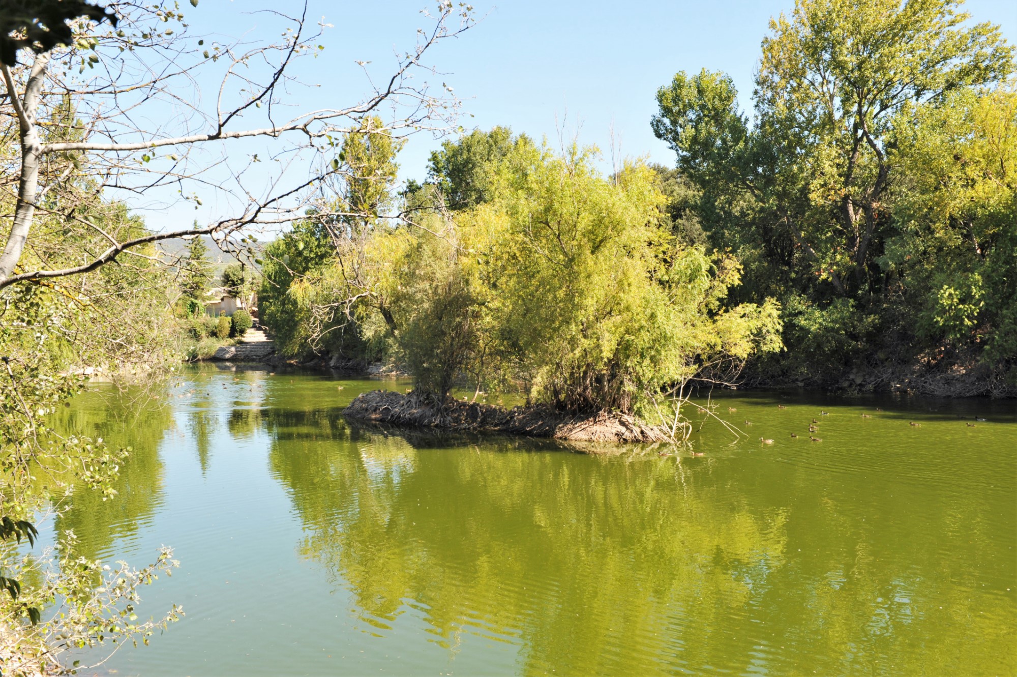 Luberon, villa  avec dépendance sur terrain de 1,4 hectare avec étang   