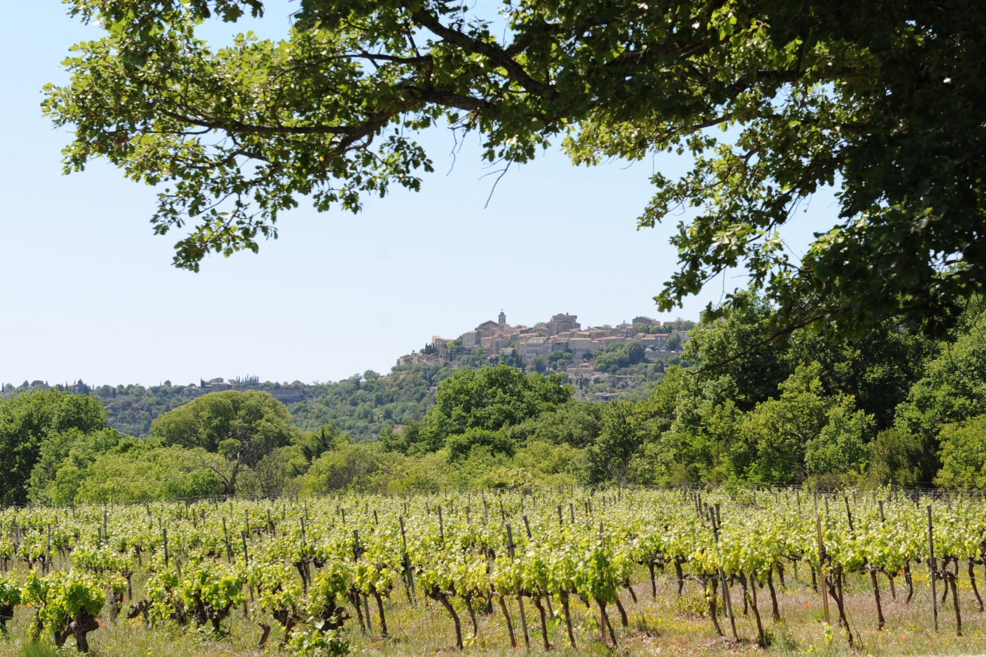 Gordes , ferme du XVIIIème siècle sur six hectares   