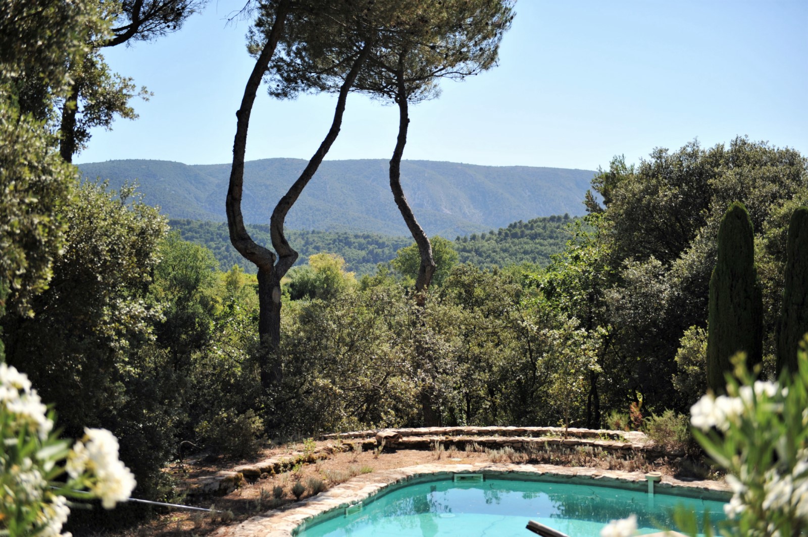 Piscine et vue