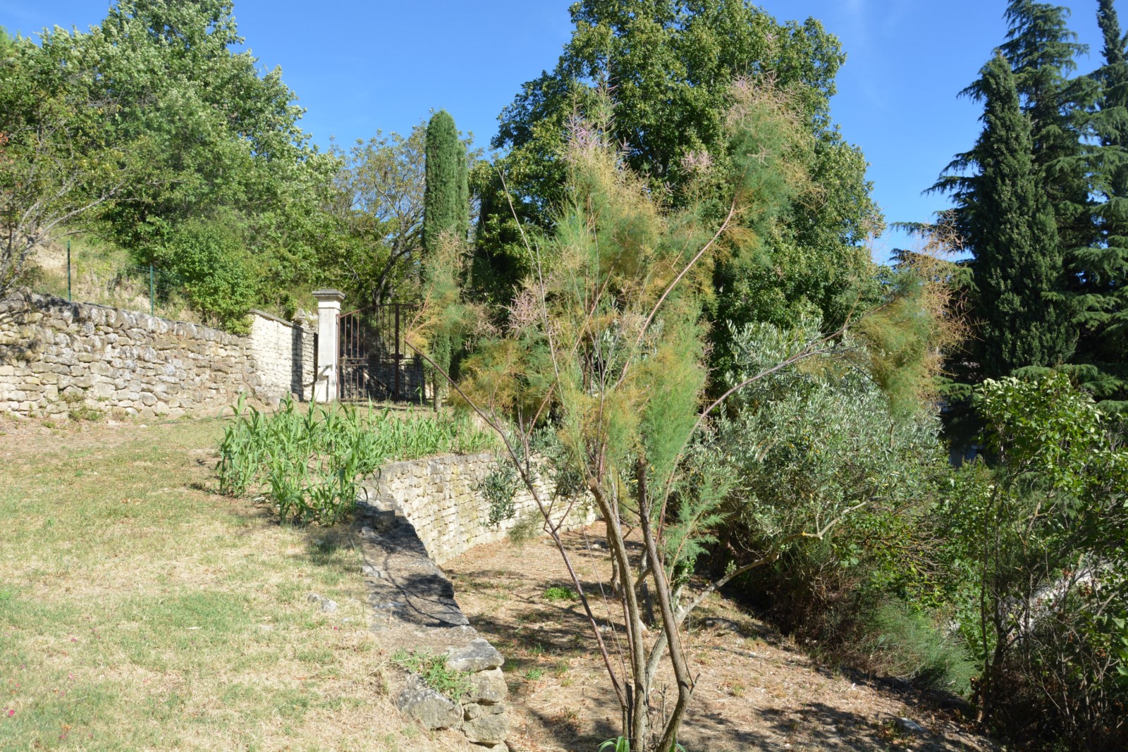 Ménerbes, maison avec dépendance à quelques minutes du village   