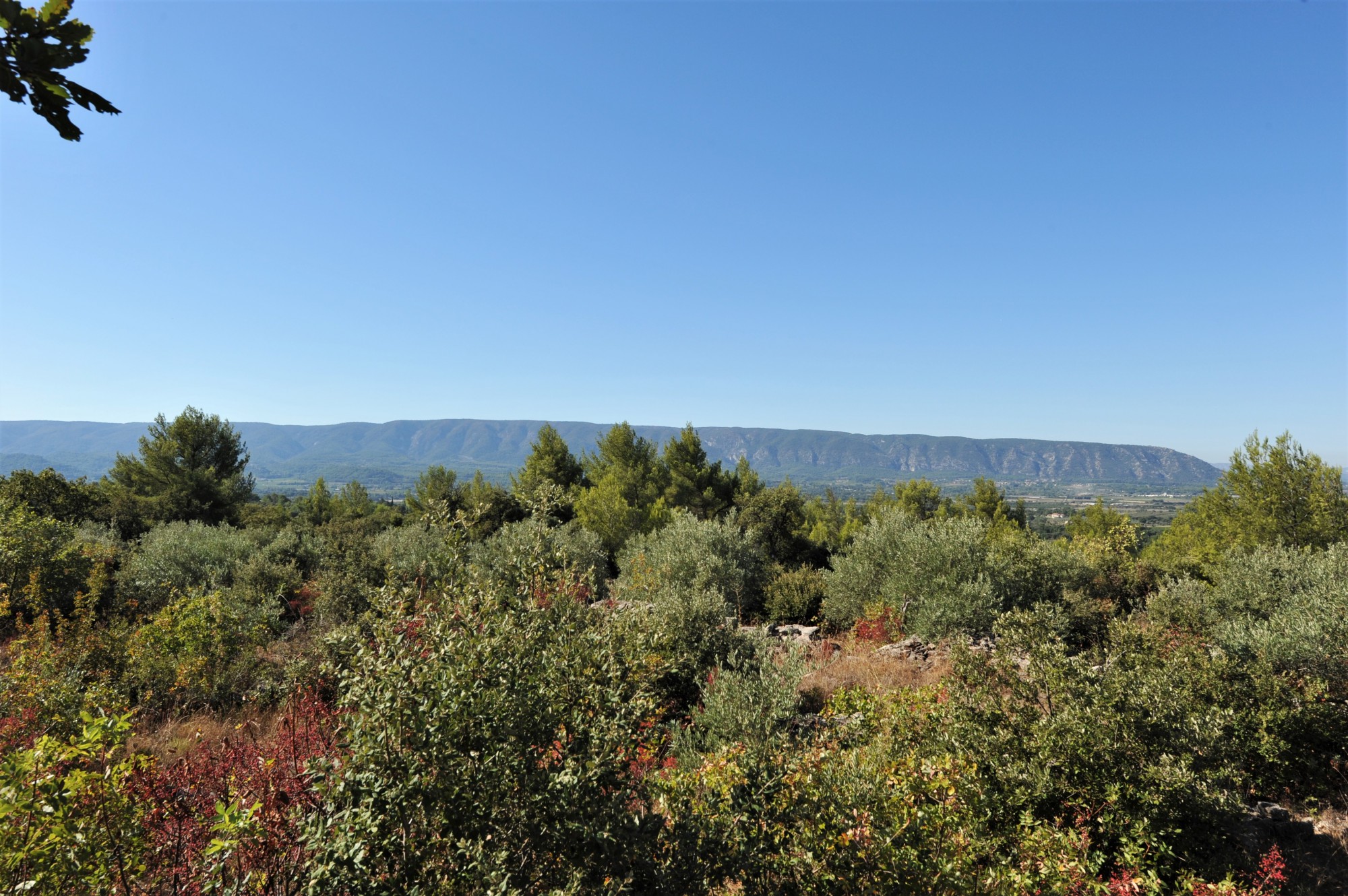 Gordes, bergerie restaurée avec piscine sur 2,7 hectares   