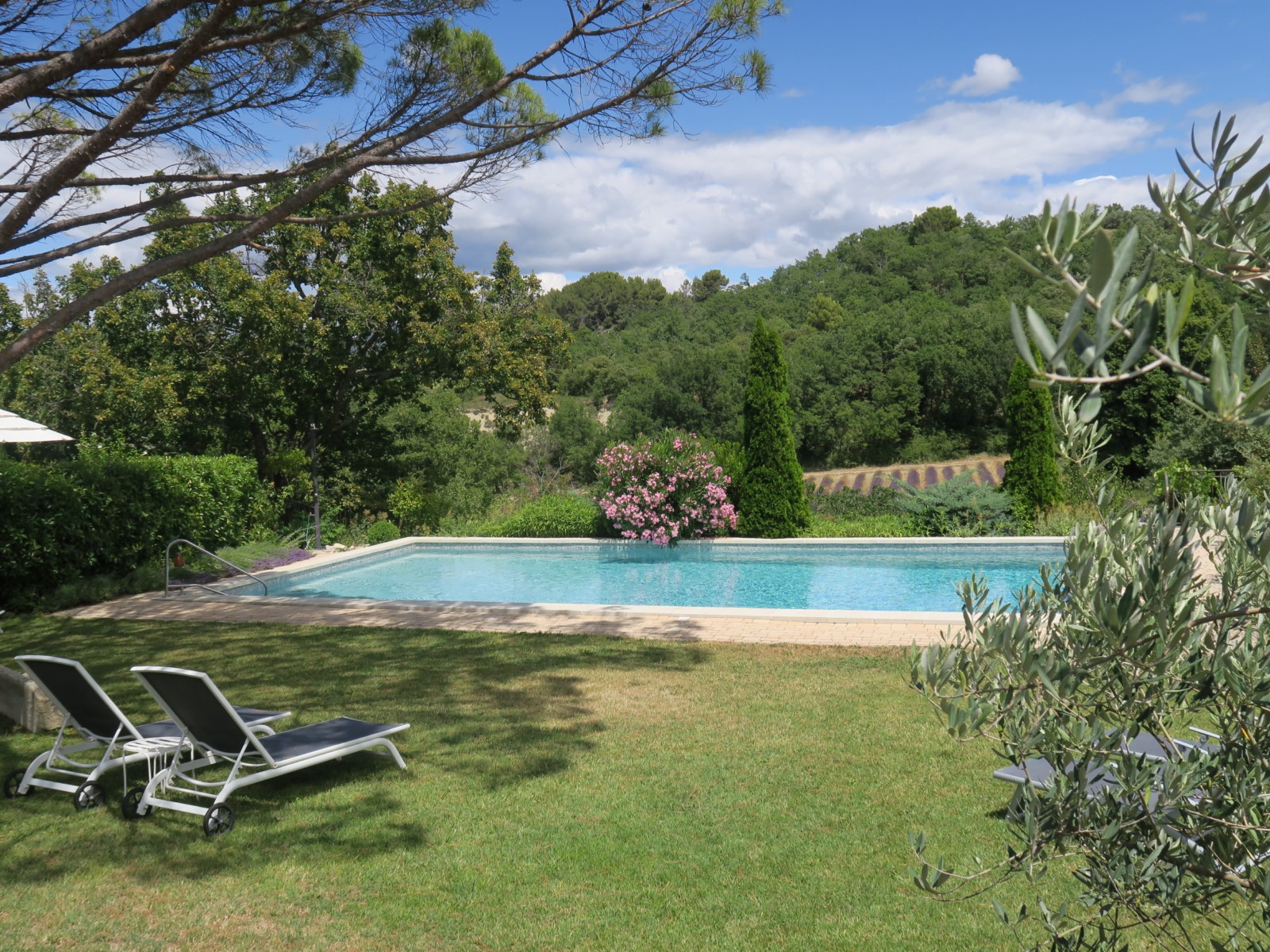 Roussillon, beau mas avec gîtes sur terrain de plus de 7000m² avec piscine   