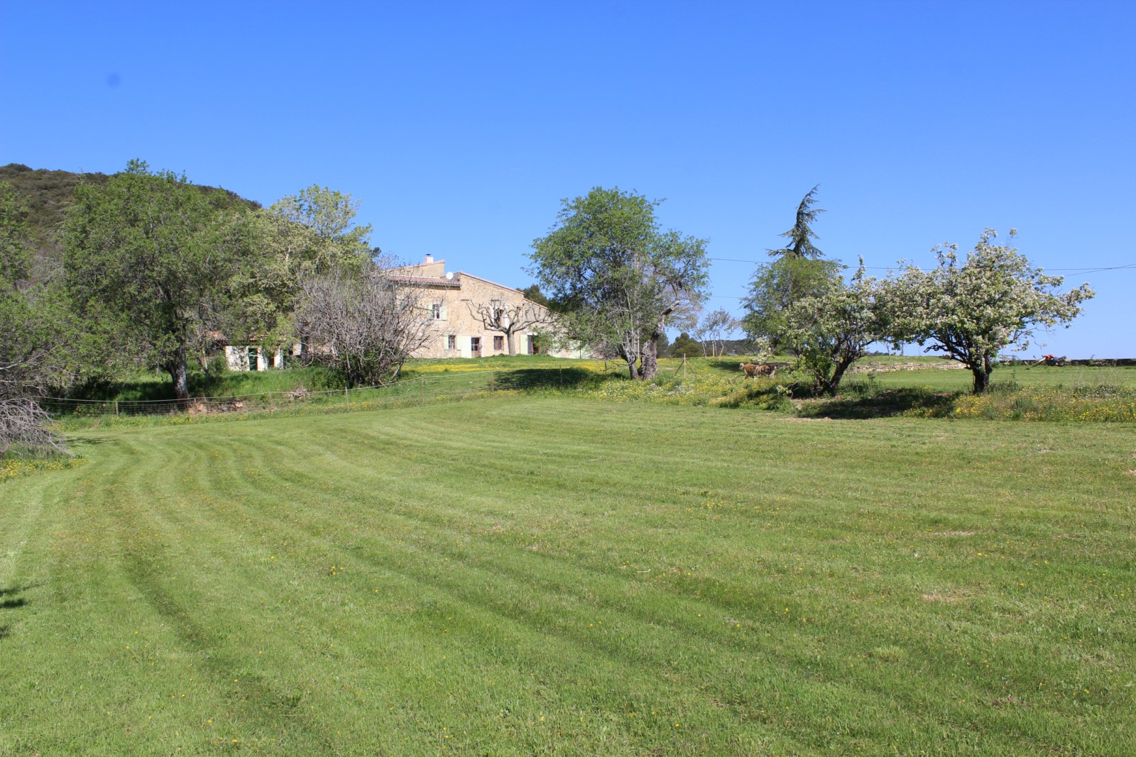 Propriété sur 42 hectares au cœur du Luberon   