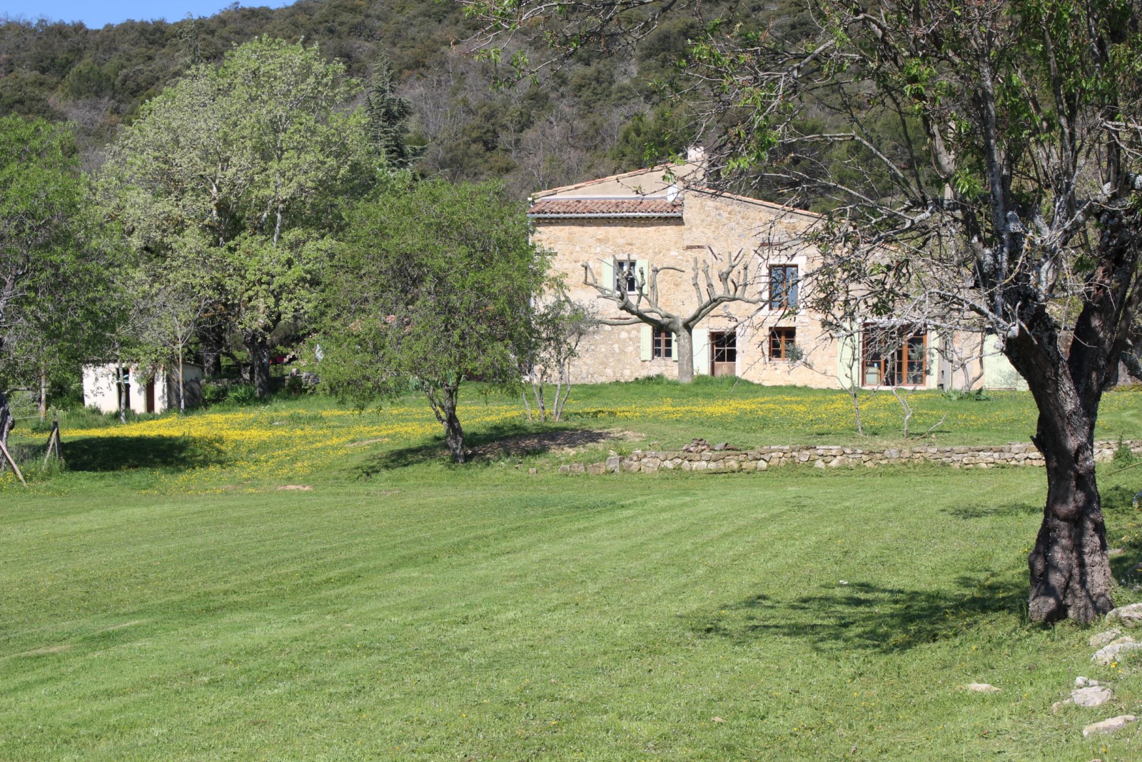 Propriété sur 42 hectares au cœur du Luberon   