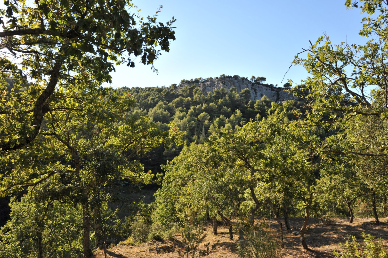 rare maison au coeur du Luberon dans cadre exceptionnel   