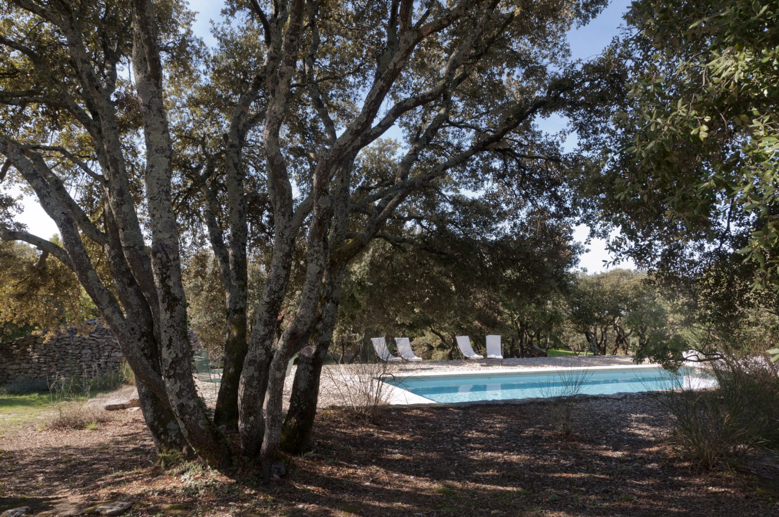 Gordes, authentique bergerie rénovée au calme sur plus d'un hectare   