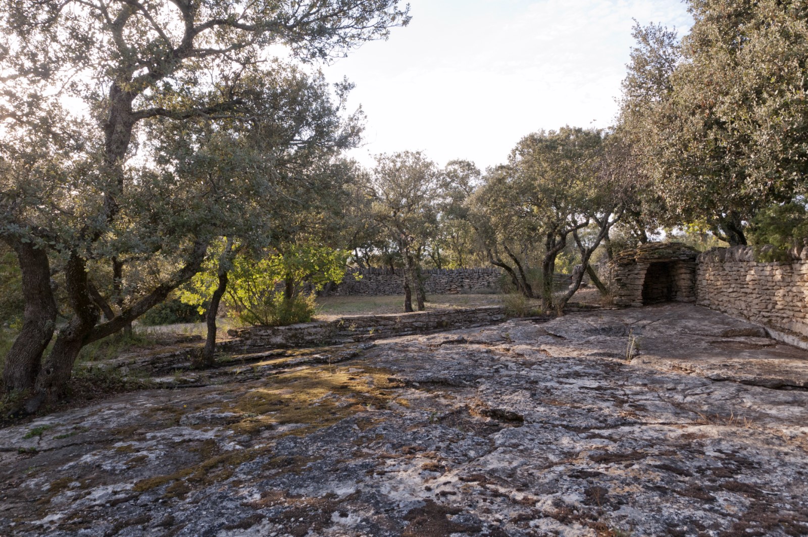 Gordes, authentique bergerie rénovée au calme sur plus d'un hectare   