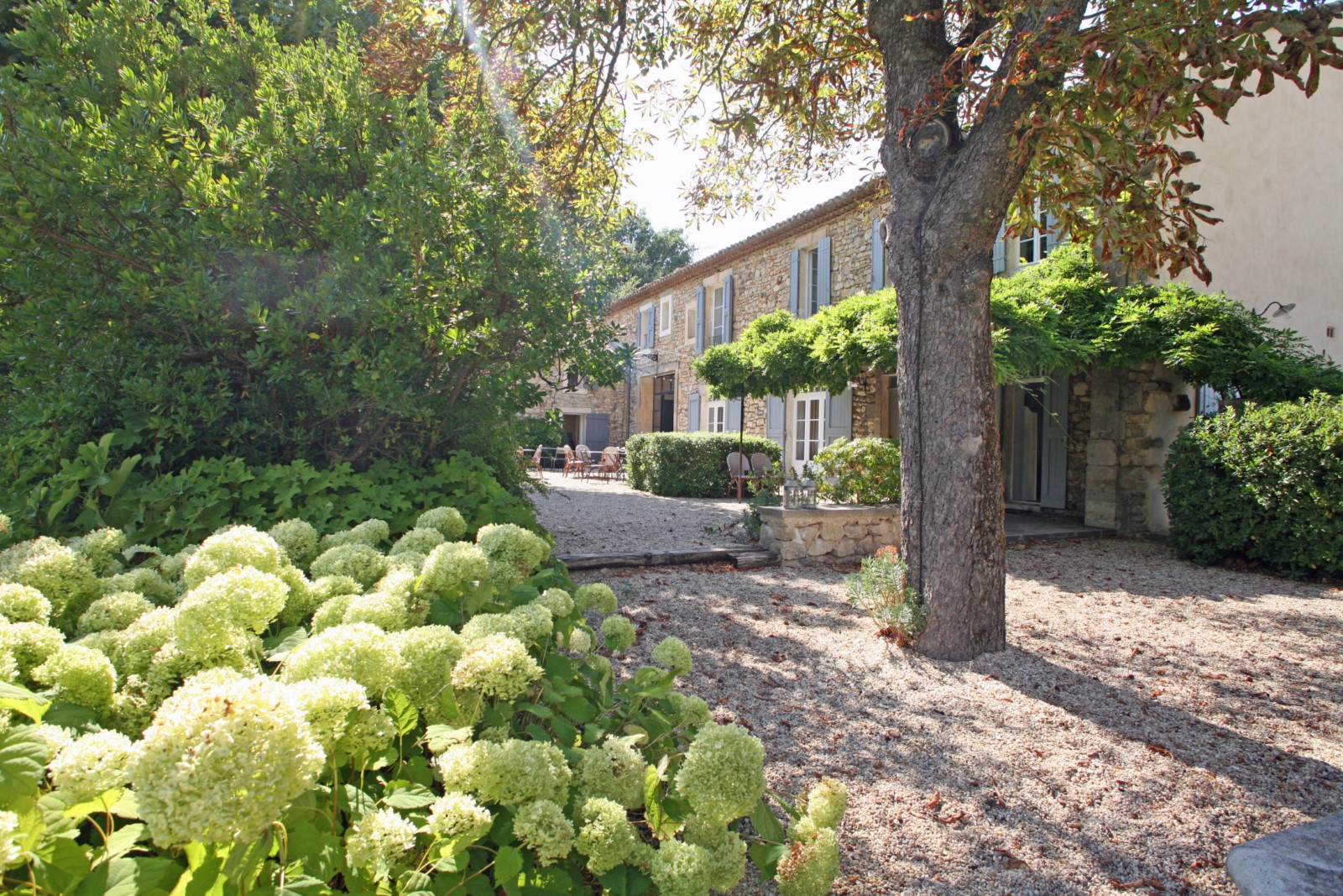 Goult, superbe propriété avec piscine sur terrain de 14 hectares   