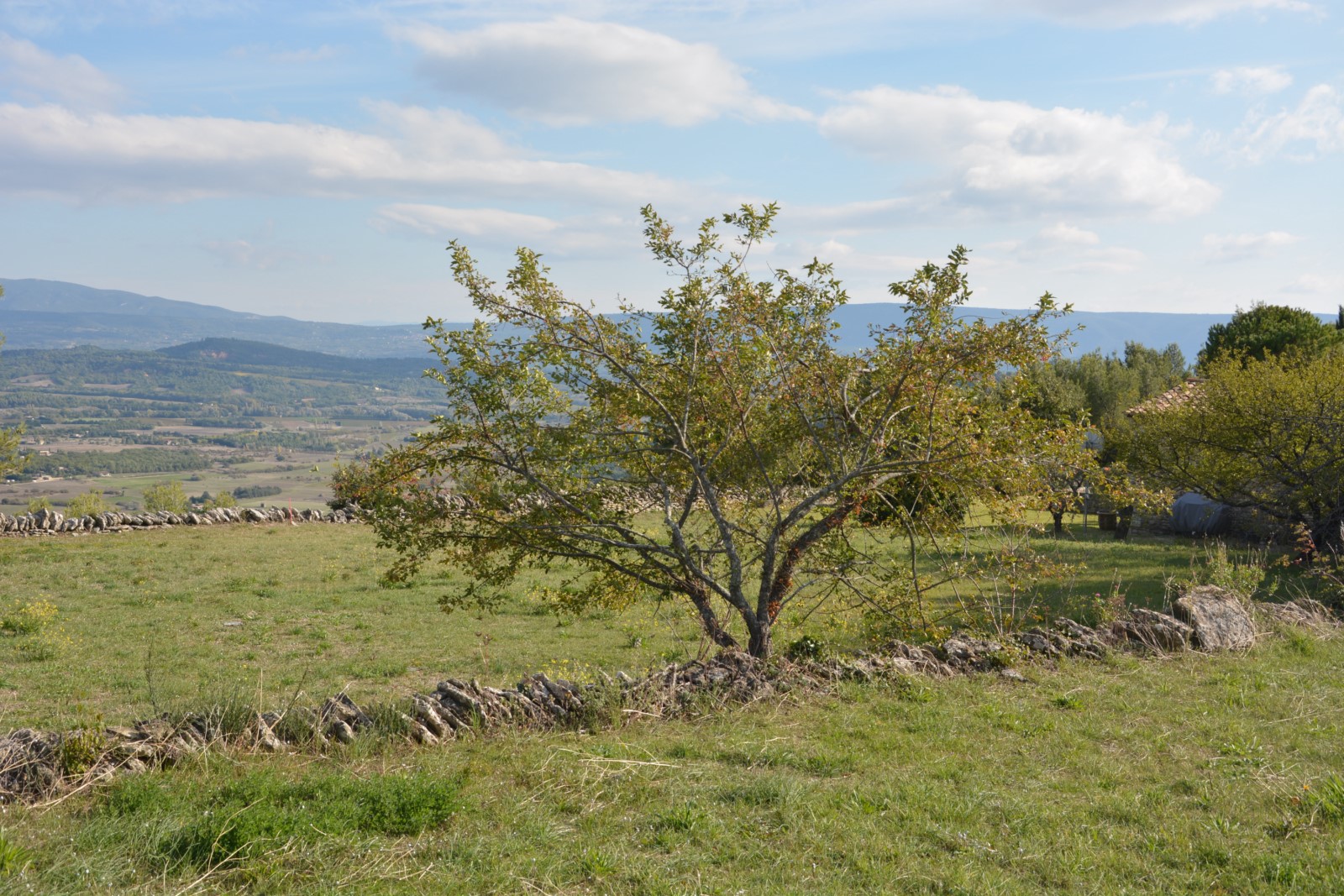Gordes, superbe terrain de village avec vues panoramiques   