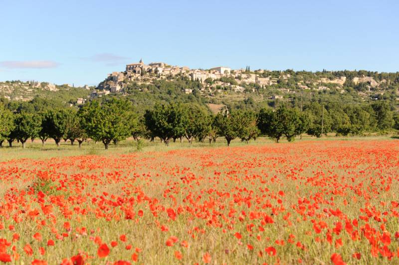 A vendre - Terrain constructible non viabilisé d'une surface de 1500 m² dans un hameau de Gordes.