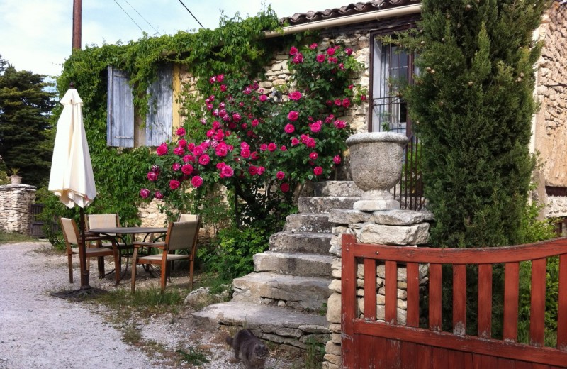 Nos prestations sur le secteur de Gordes dans le Lubéron 84