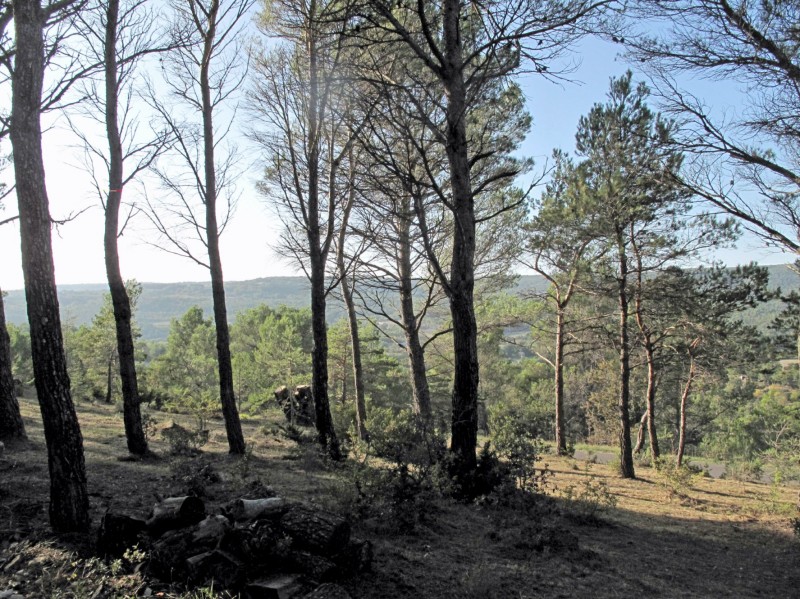 Nos prestations sur le secteur de Vaucluse 84