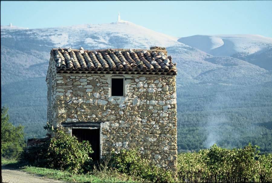 Cabanon provençal devant le mont Ventoux