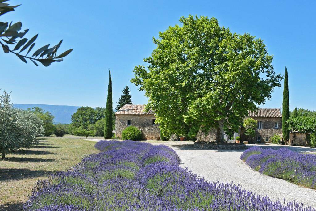 Gordes: authentic farmhouse with swimming pool and outbuildings on 6 hectares of land