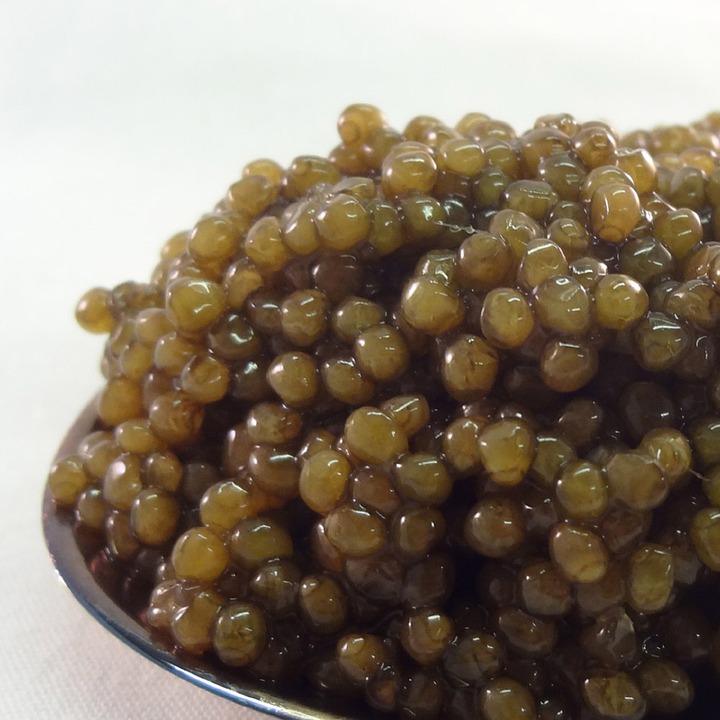 La caviar Beluga, un produit de Luxe