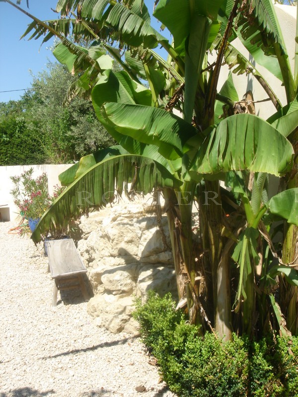 Location Charmant mazet entièrement restauré en Luberon avec piscine