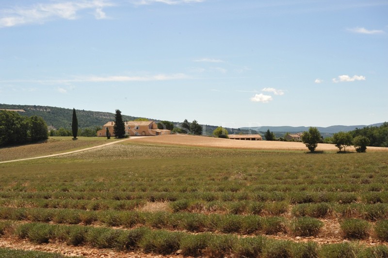 Between the Luberon and the mountains of the Vaucluse: an exceptional property of more than 200 hectares (almost 500 acres) 