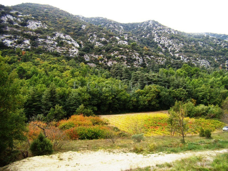 Vente Cabanon au pied du Luberon, piscine, vignes et nature. Pied à terre idéal en Provence