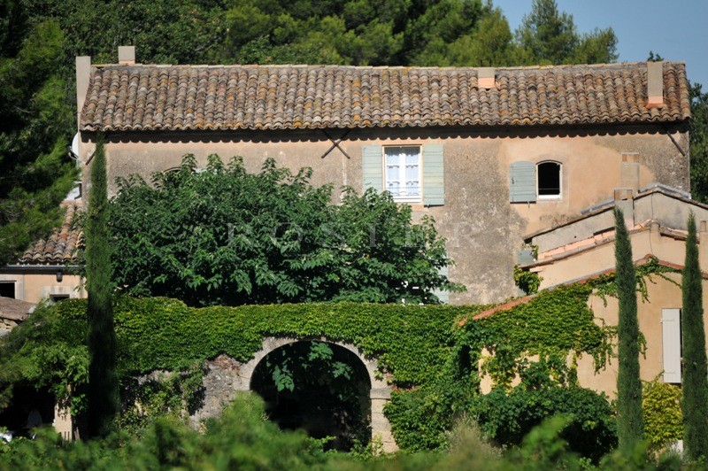 For sale, vineyard in the Luberon, comprising 6 hectares (14.8 acres) of vines, manor house, outbuildings and cellars.