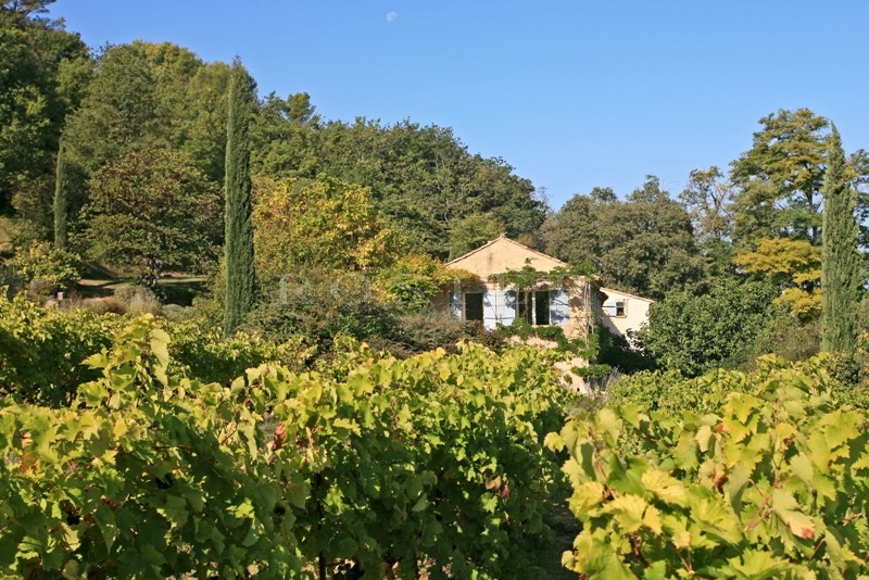 Ménerbes, for sale, XVIIIth century farmhouse in Luberon on more than 2.6 hectares of land with vineyard. 
