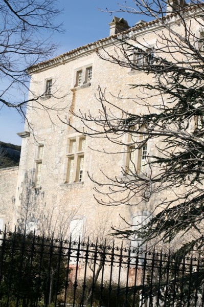 Le chateau de Javon en Provence