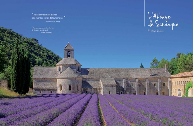 Abbaye de Senanque sud de la France Luberon Provence