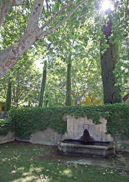 Fontaine en Provence à l'ombre des platannes