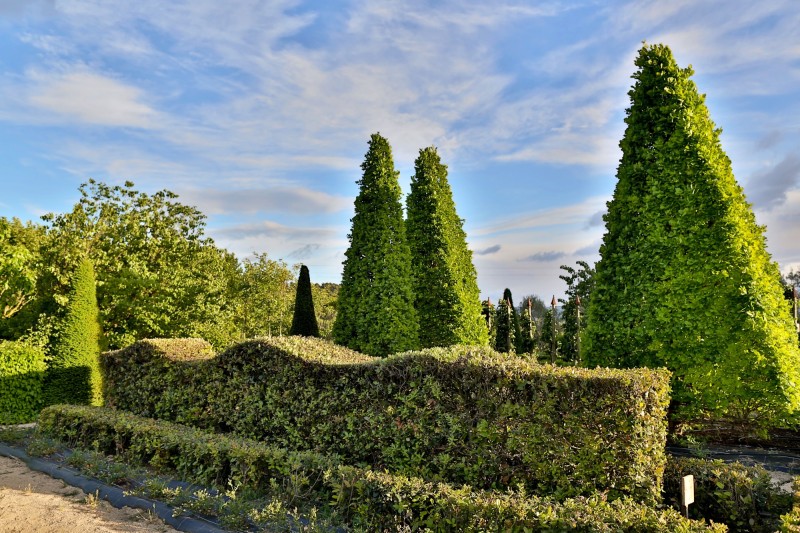 Les jardins du château de Val Joanis, sud Luberon
