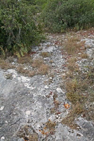 Gordes, des sols datant du Jurassique supérieur composés de calcaires à faciès urgonien et de calcaires argileux