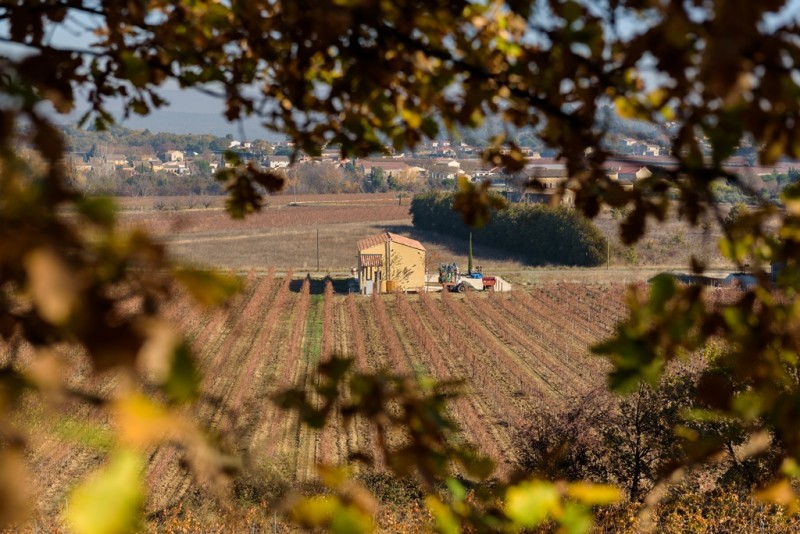 Domaine des Jeanne - Rosé wine maker in Provence