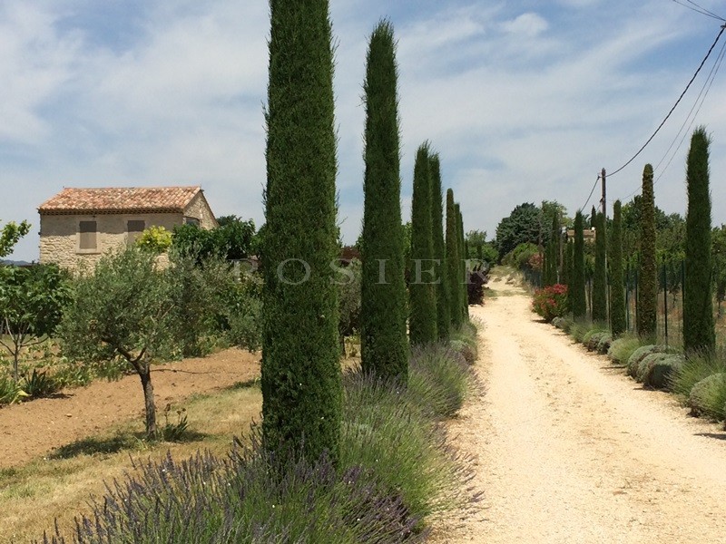 Charming rental renovated house in Luberon