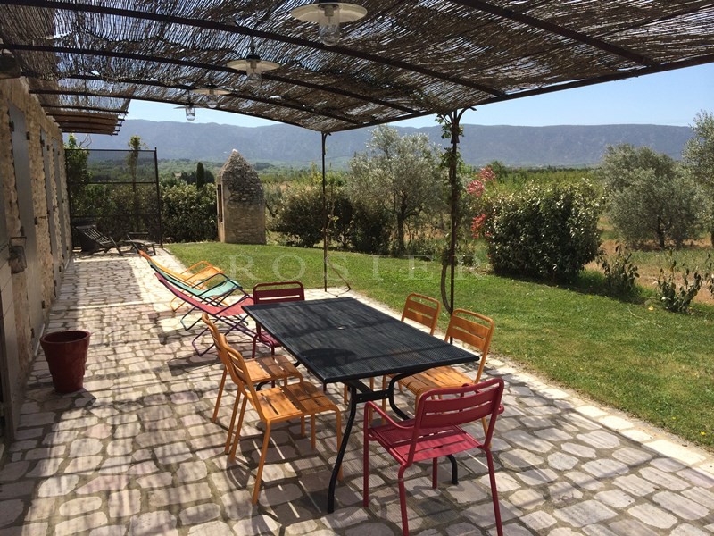 Charming rental renovated house in Luberon