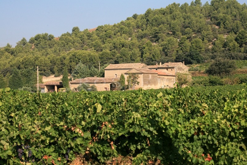 Vente Domaine viticole  en Luberon sur plus de 30 hectares
