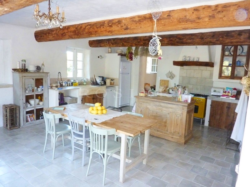 For sale in the Luberon, lovely hamlet house with guest house, garden and swimming pool