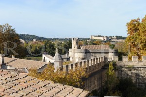 A vendre, maison de ville avec vue sur le Palais des Papes en Avignon 