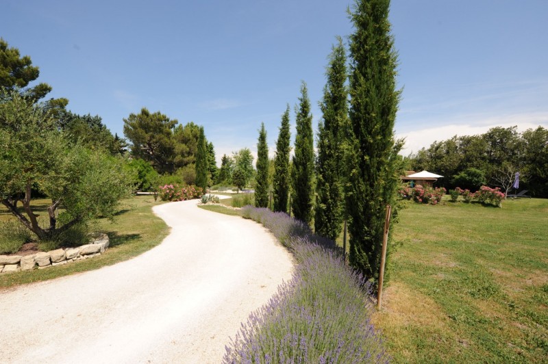 Pays de Sorgues, for sale, meticulously restored farmhouse with over 1 hectare of land