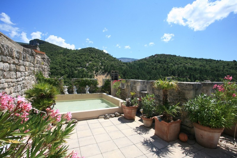 Demeure seigneuriale fortifiée avec piscine en vente en Provence