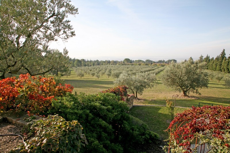 Belle propriété sur plus de 7 hectares avec vue en Provence