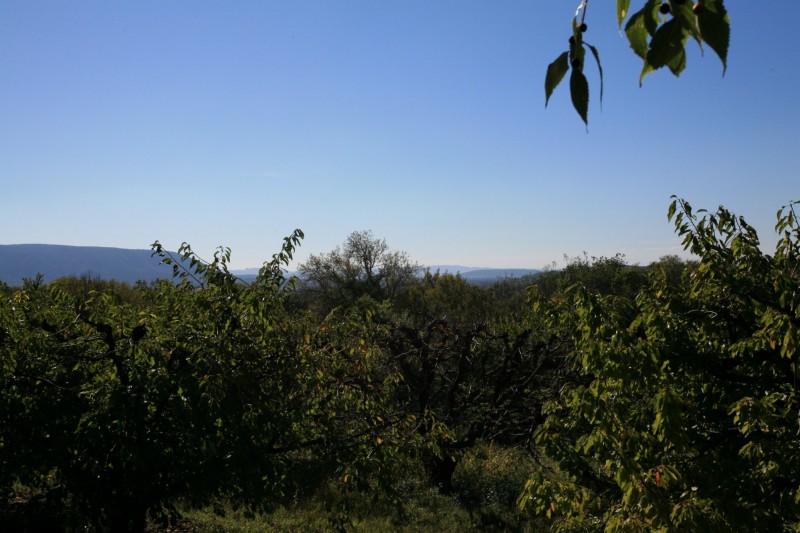Luberon, close to Gordes, for sale, farmhouse from XVIIIth and XIXth centuries to renovate
