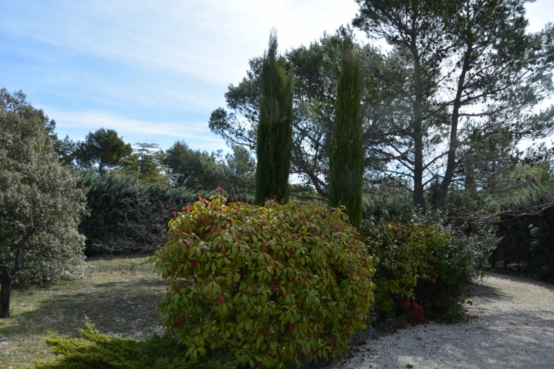 House with swimming pool for sale in Luberon