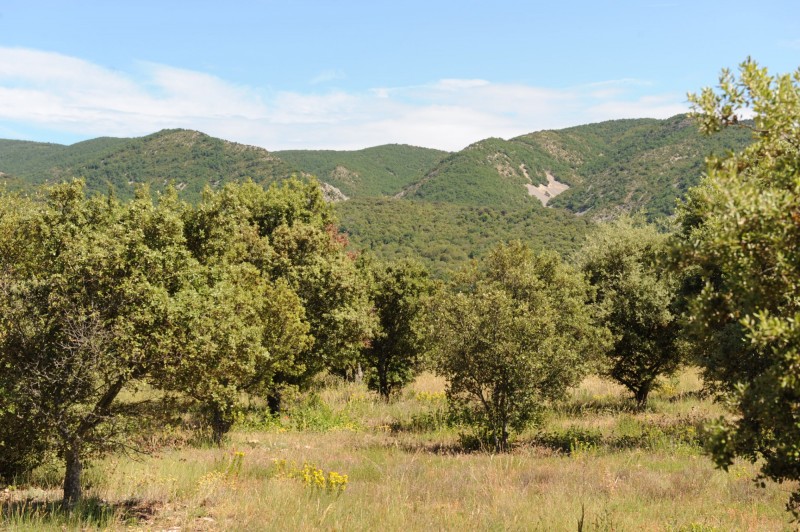 Property with view for sale in Provence 