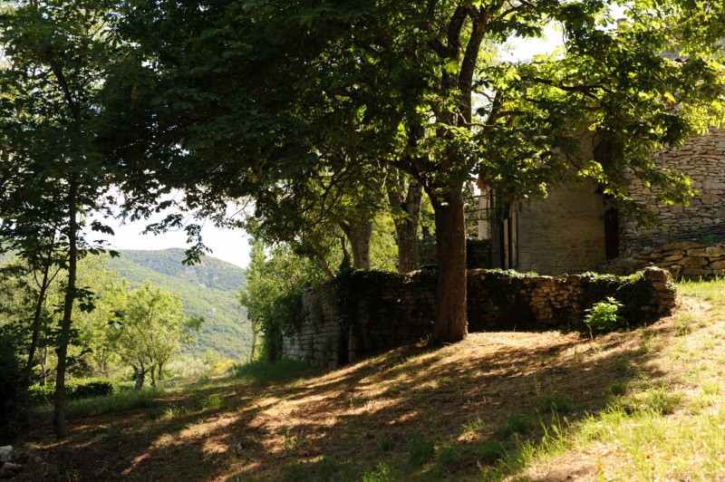 Authentic farmhouse with pool and tennis on 9 hectares for sale in the Luberon 