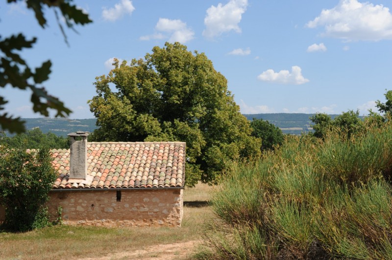 Vente En vente dans les Monts du Vaucluse,  ferme provençale restaurée sur 35 hectares