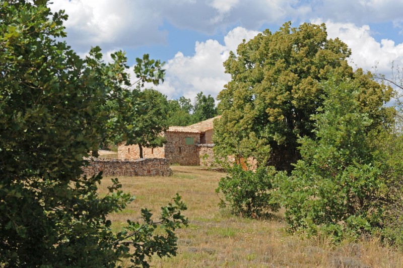 For sale in the Monts du Vaucluse, authentic provençal farm restored on 35 hectares of land