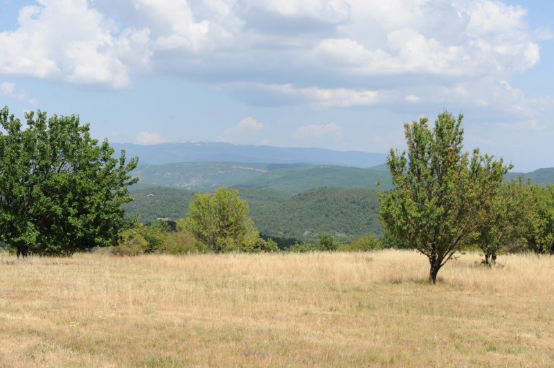 Vente En vente dans les Monts du Vaucluse,  ferme provençale restaurée sur 35 hectares