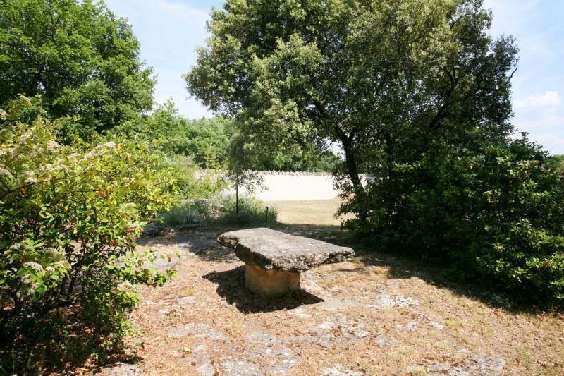 For sale, near Gordes, very pleasant stone house in an oak grove